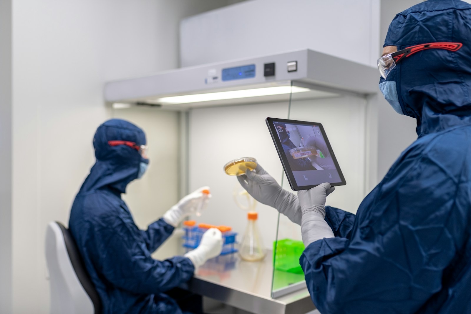 Two people in blue cleanroom suits at a laminar flow cabinet, one holding up a culture plate and a tablet while the other works at the bench